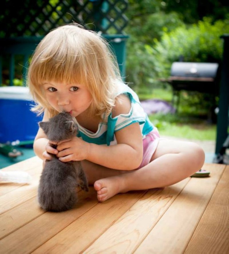 Трогательная дружба детей и животных