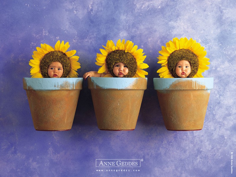 Самые знаменитые детские снимки в мире от Anne Geddes