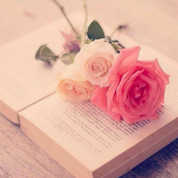 ТОП-100 самых романтичных книг