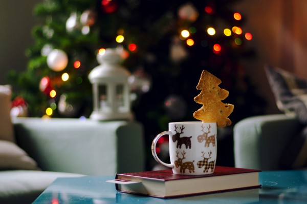 12 книжкових новинок для різдвяного настрою